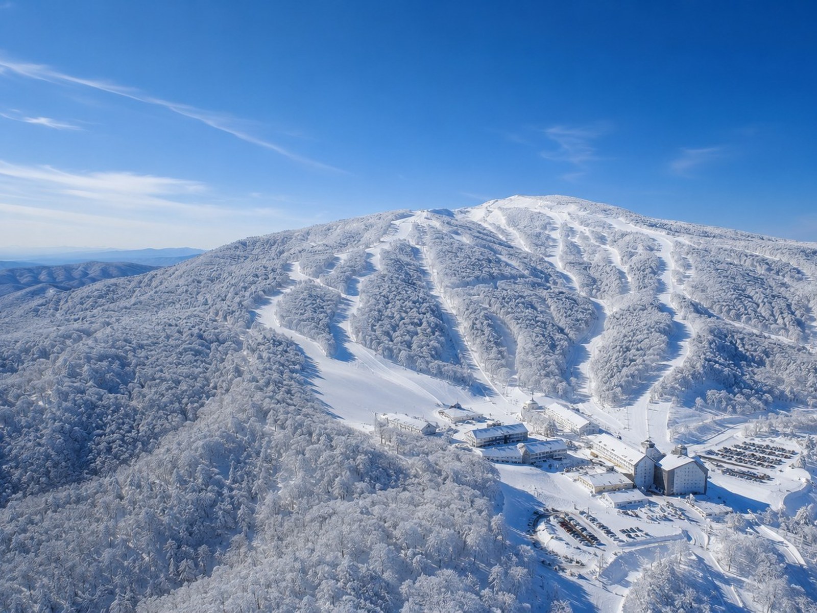 Excellence Snowsports ski and snowboard school