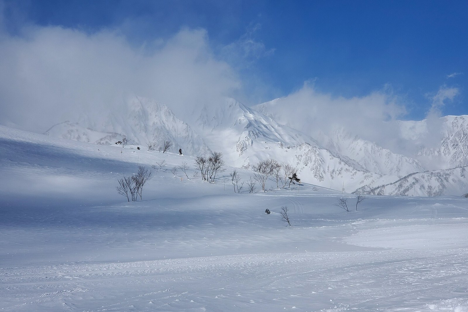 Private Snowshoe Tours in Hakuba Valley
