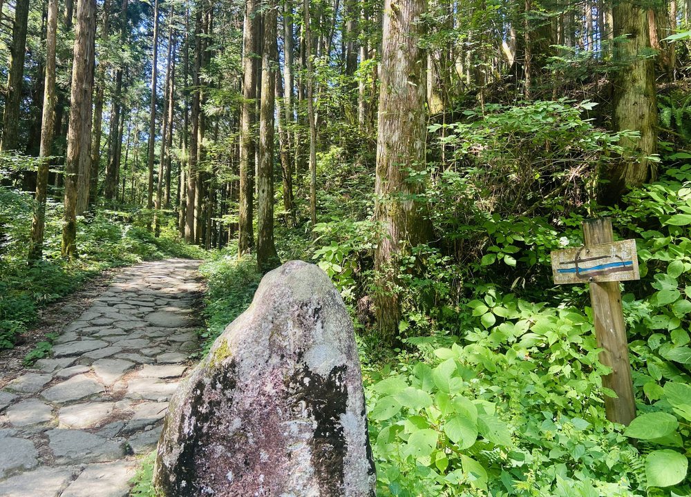 Leading green-season treks