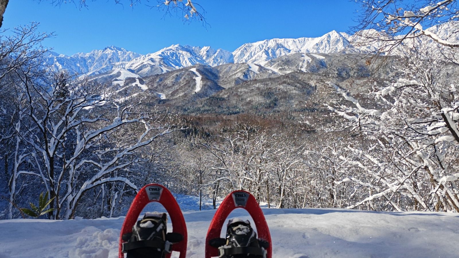 Private Snowshoe Tour at Iwatake