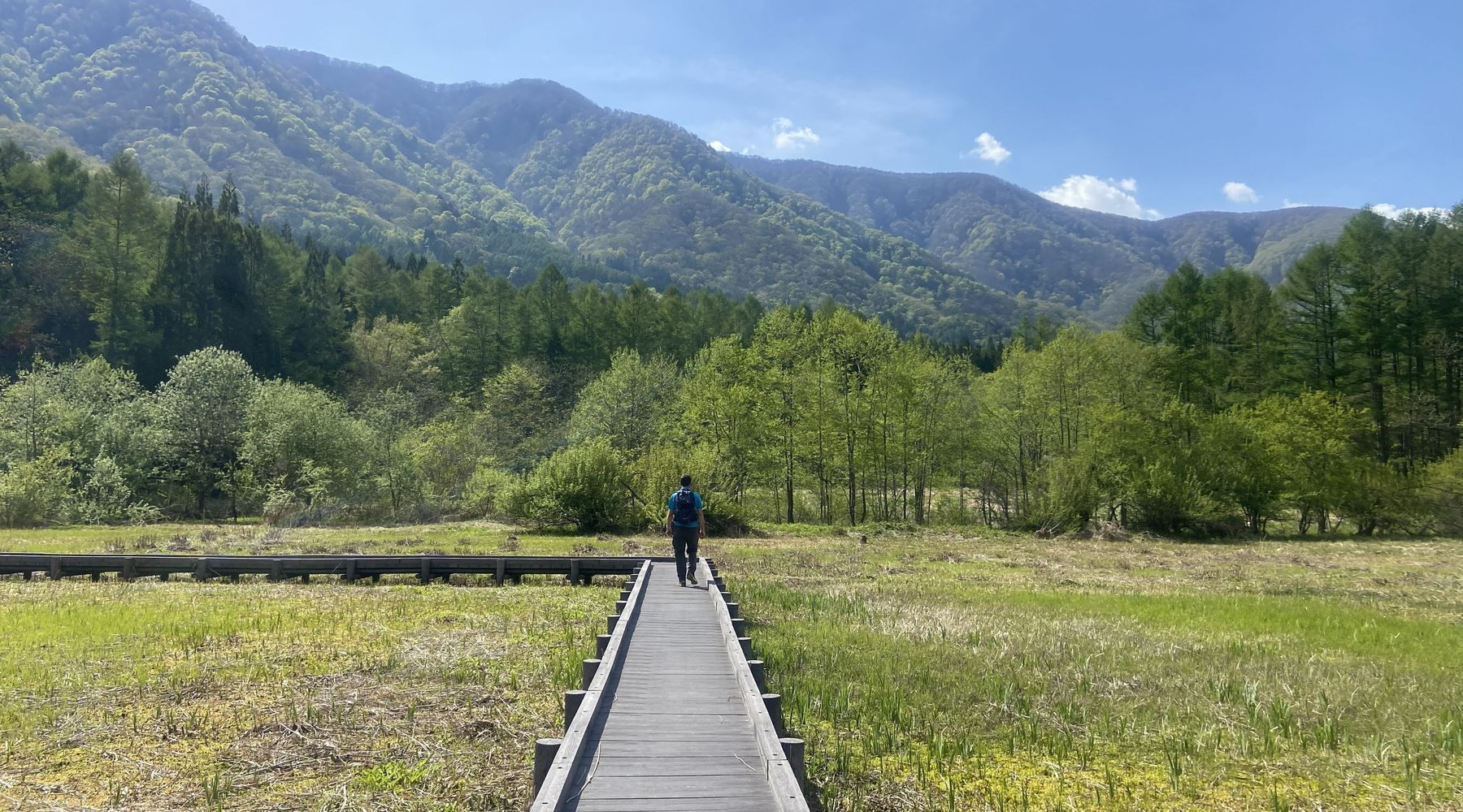 Kamikochi Nature Walk
