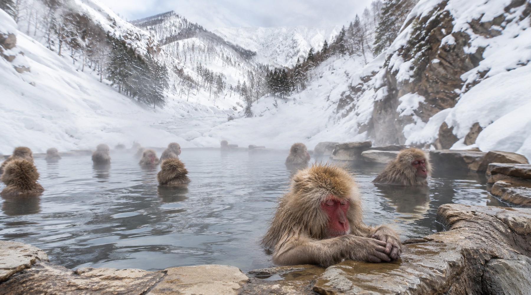 Private Guide Tour to Snow Monkey Park & Nagano