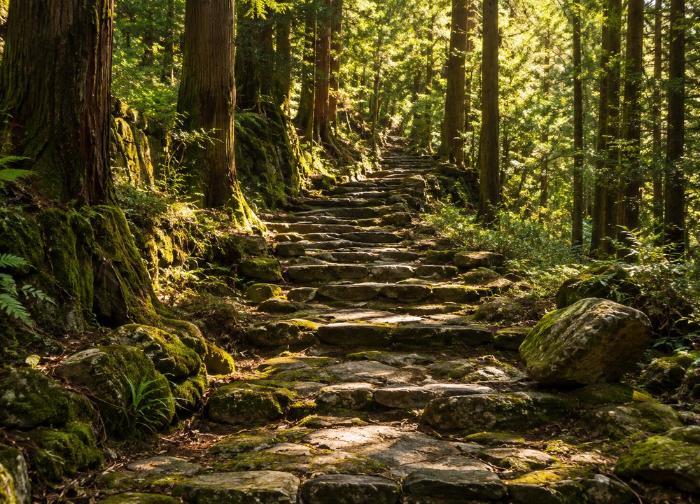 Stone paths through the forest