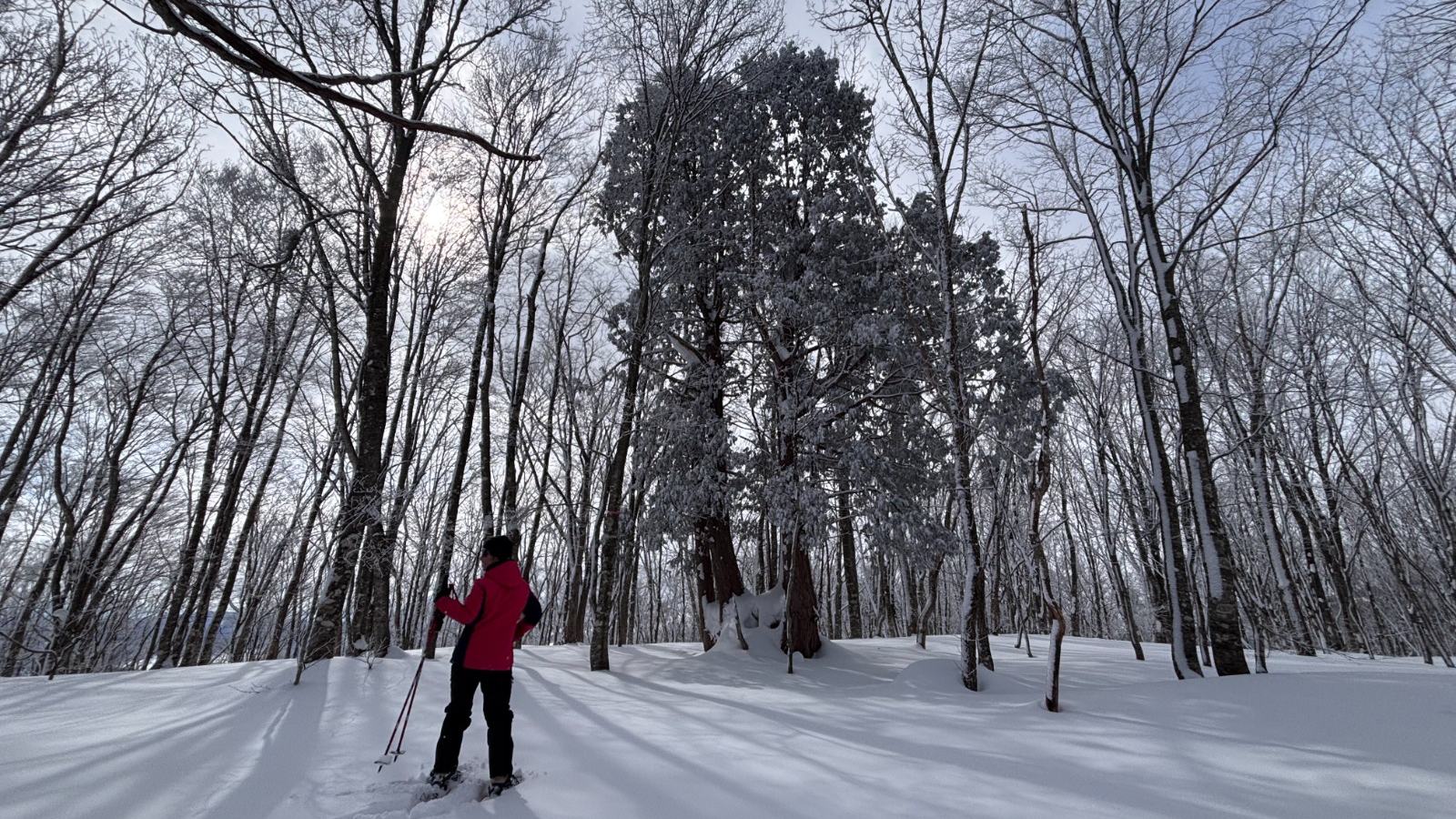 Private Evening Snowshoe Tour