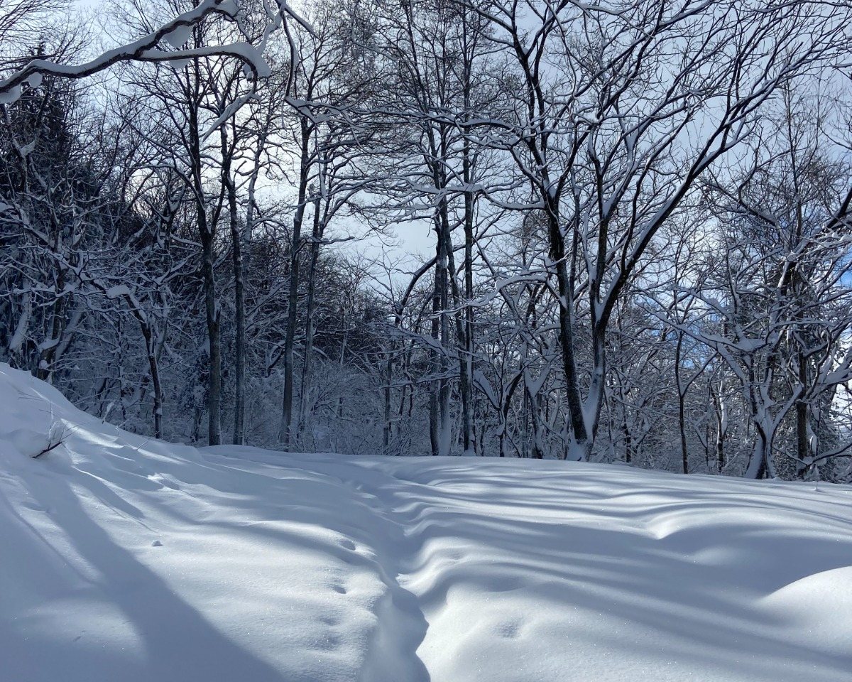 Hakuba after dark, all yours