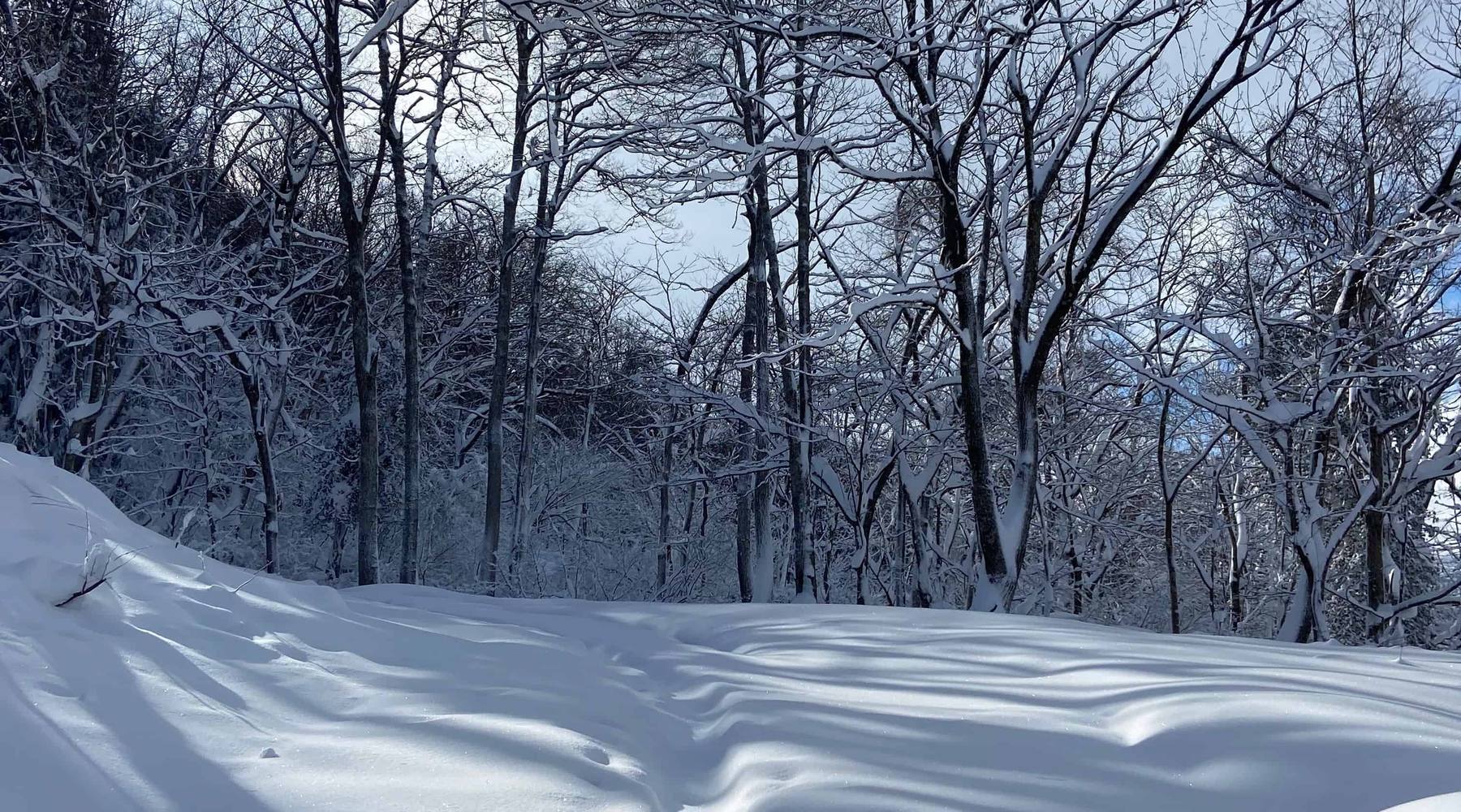 Private Evening Snowshoe Tour in Hakuba Valley