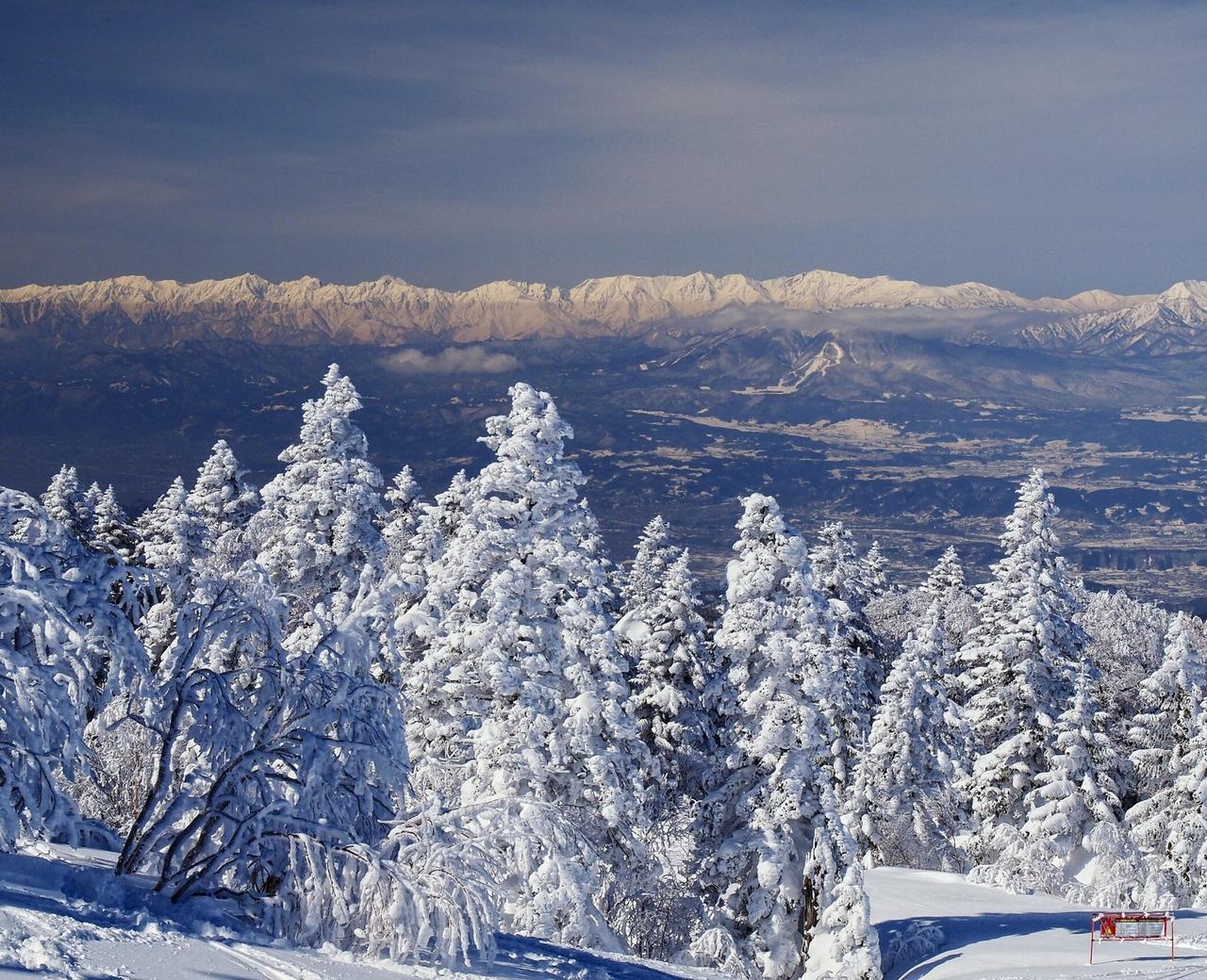 Winter mornings at work