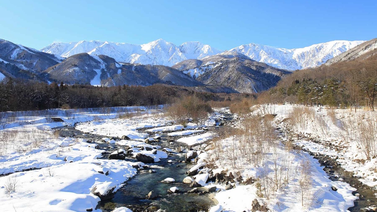 Snowshoe Powder Tour