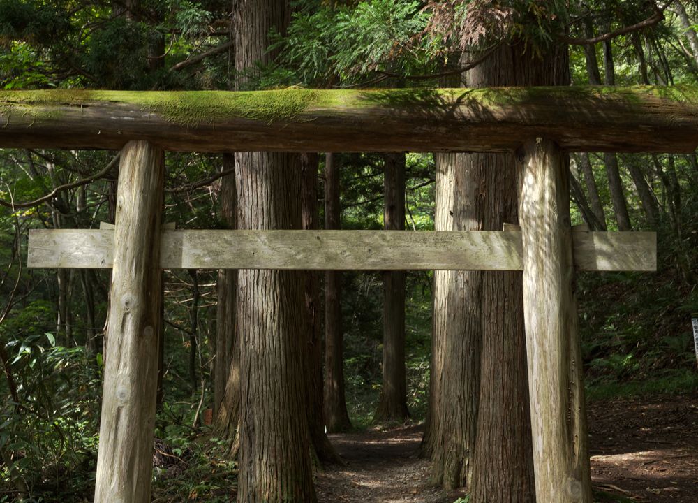 Hokosha & Chusha shrines