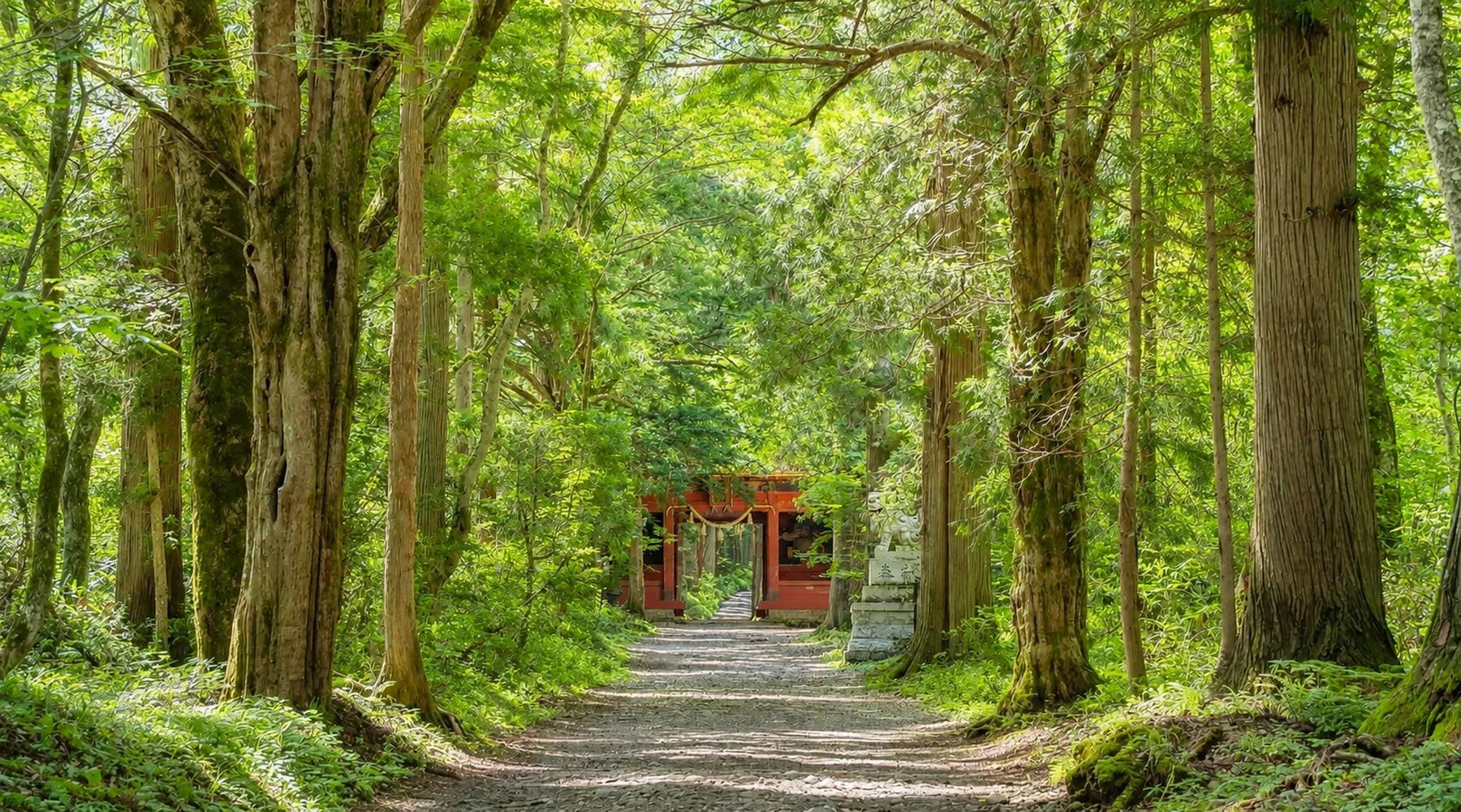 Togakushi Hiking Tour