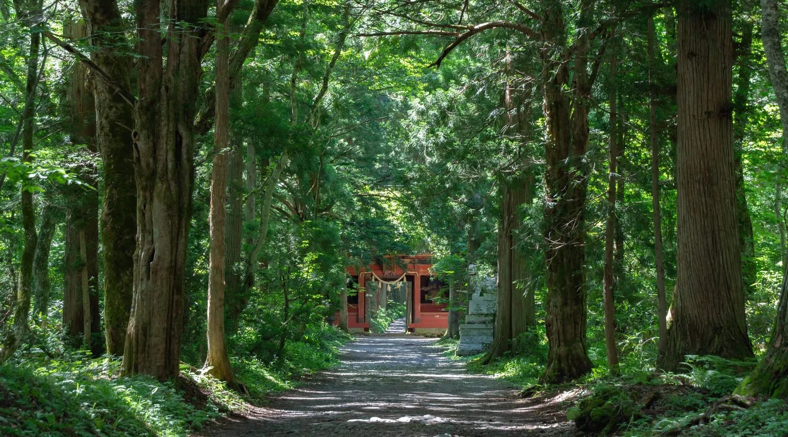 Togakushi Hiking Experience