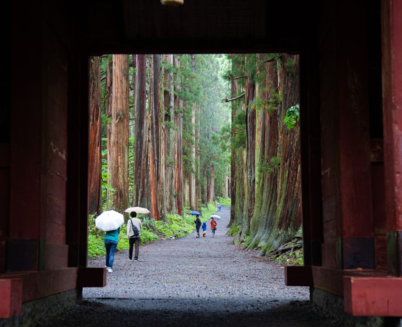 The Cedar Avenue