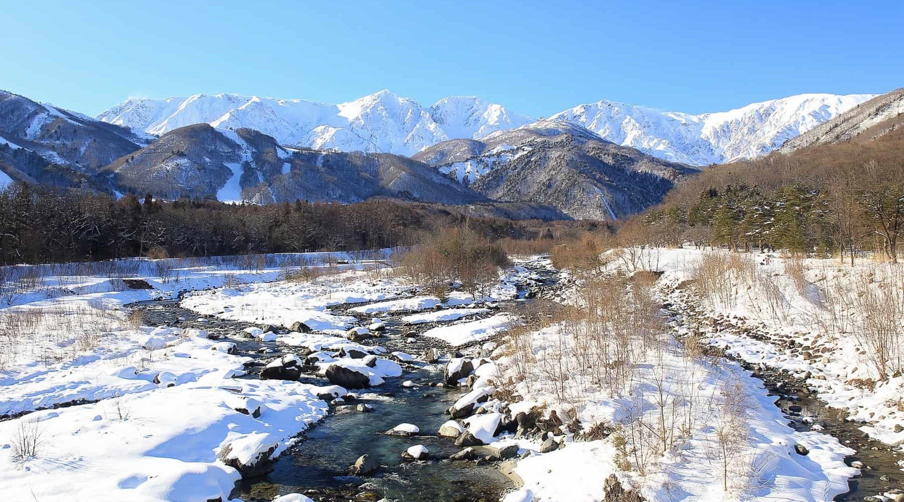 Winter snowshoe country in Hakuba