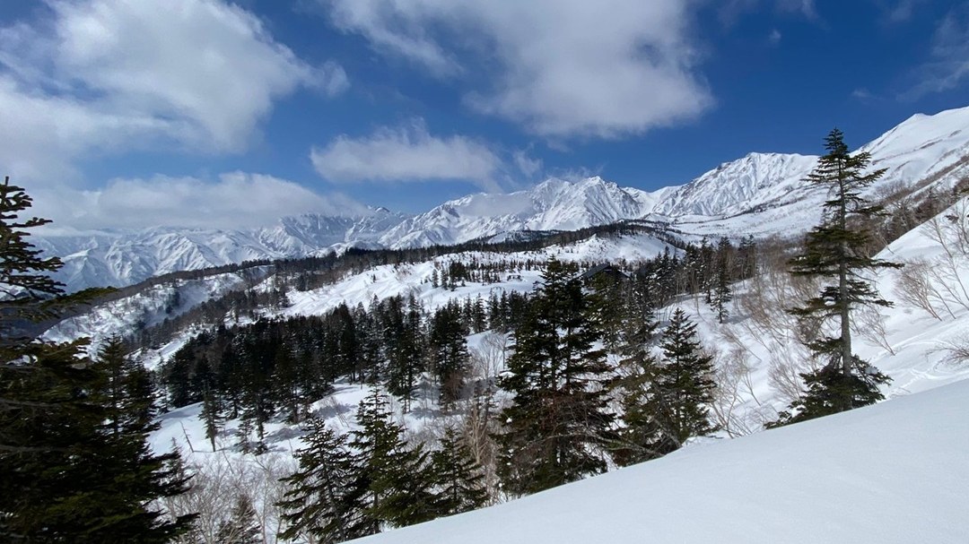 Private Snowshoe Tour in Tsugaike Shizen-en
