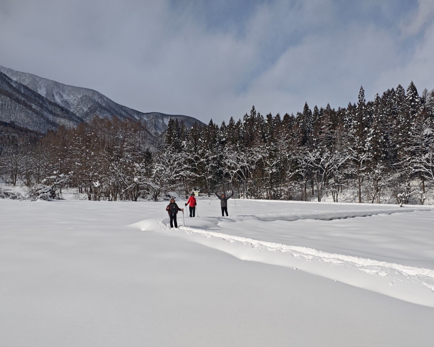 The high park under deep snow