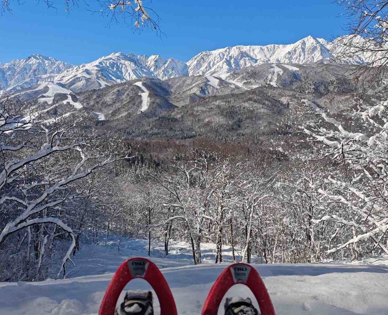 Why choose Hakuba Excellence